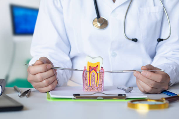 Best Emergency Orthodontic Repairs in Hilliard, OH